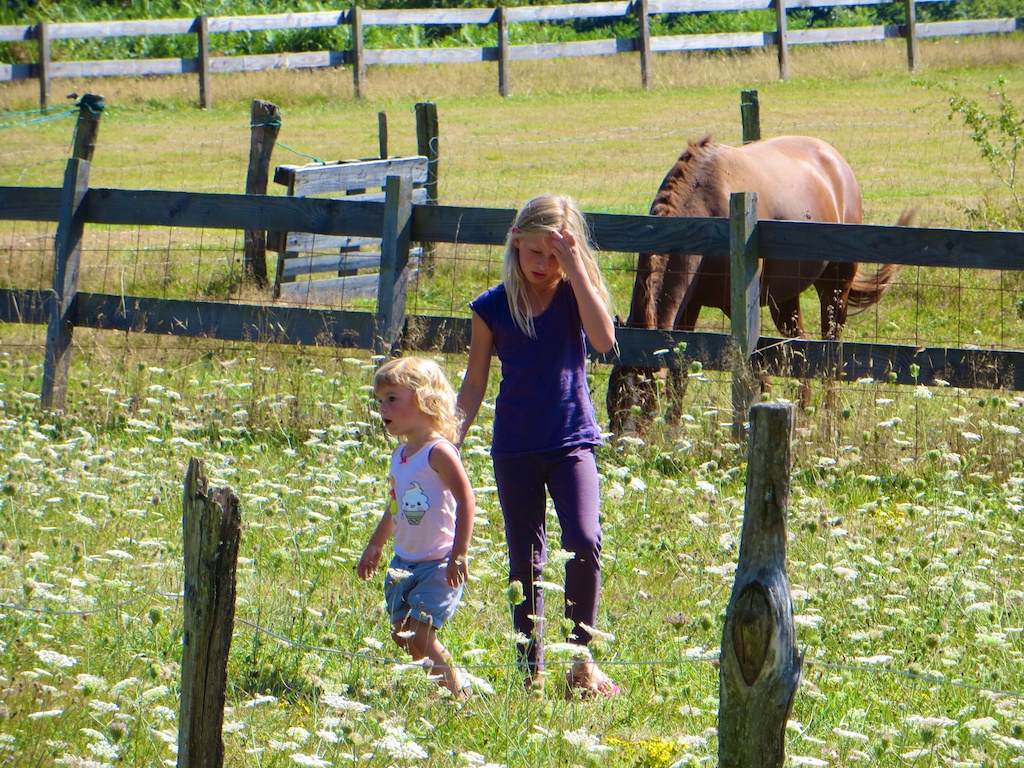 Visiting the horses