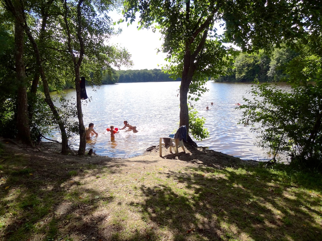 Taking a dip in the lake