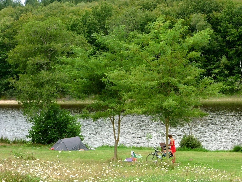 During the Spring at etang 9