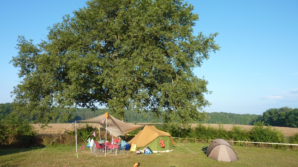 Plot Nr.3 at the big Oak tree