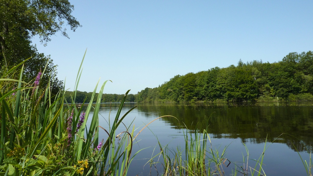 View across the lake
