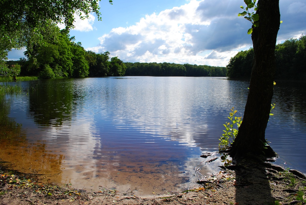 View from the lake