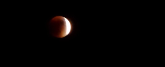 Prachtig najaar, en gisteren nacht wakkergebleven om de eclips van onze maan te bewonderen