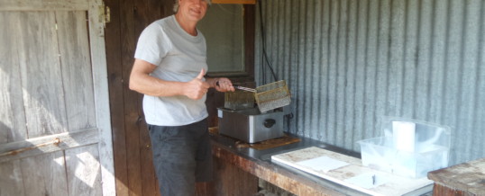 Frans frietje op de camping