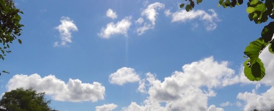 Vandaag  / Aujourd’hui lundi 3 août 2015