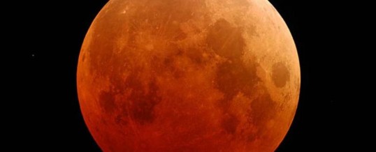 Bloedmaan