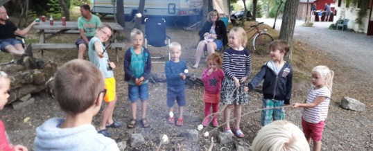 Kampvuurtje mag op onze natuurcamping in Frankrijk/Bourgogne