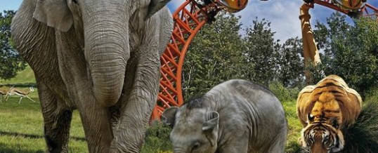 Vandaag 27 Juli mooie dag voor een dierenpark