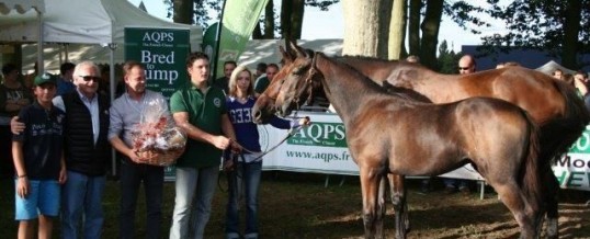 Vandaag heerlijke temperatuur rond de 30 graden, en … jawel zaterdag en zondag zelfs het warmste van geheel Frankrijk, paarden show in Decize  en ook even aandacht voor Martin Luther King, een held van eer